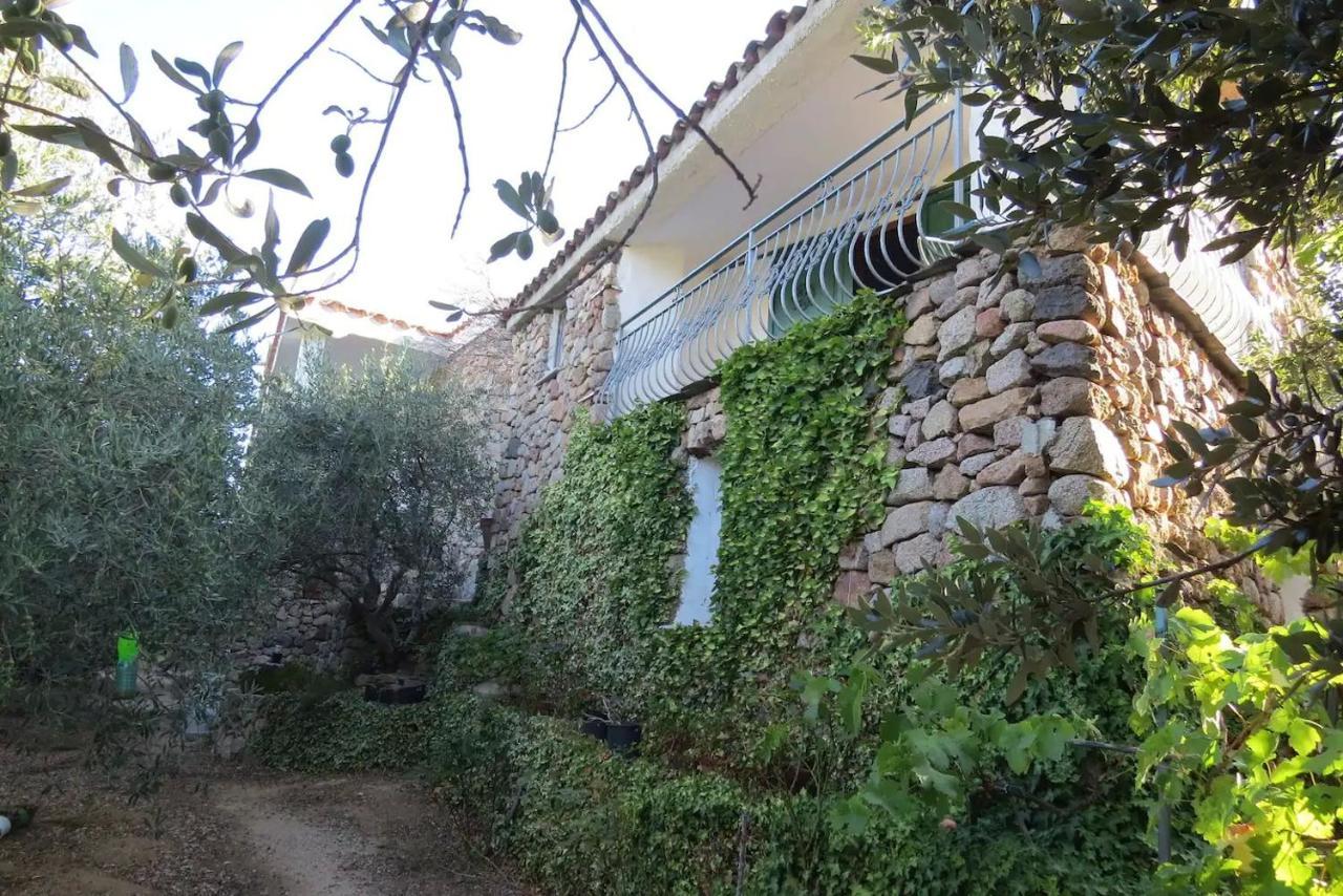 Casa In Campagna Hotel Dorgali Exterior photo