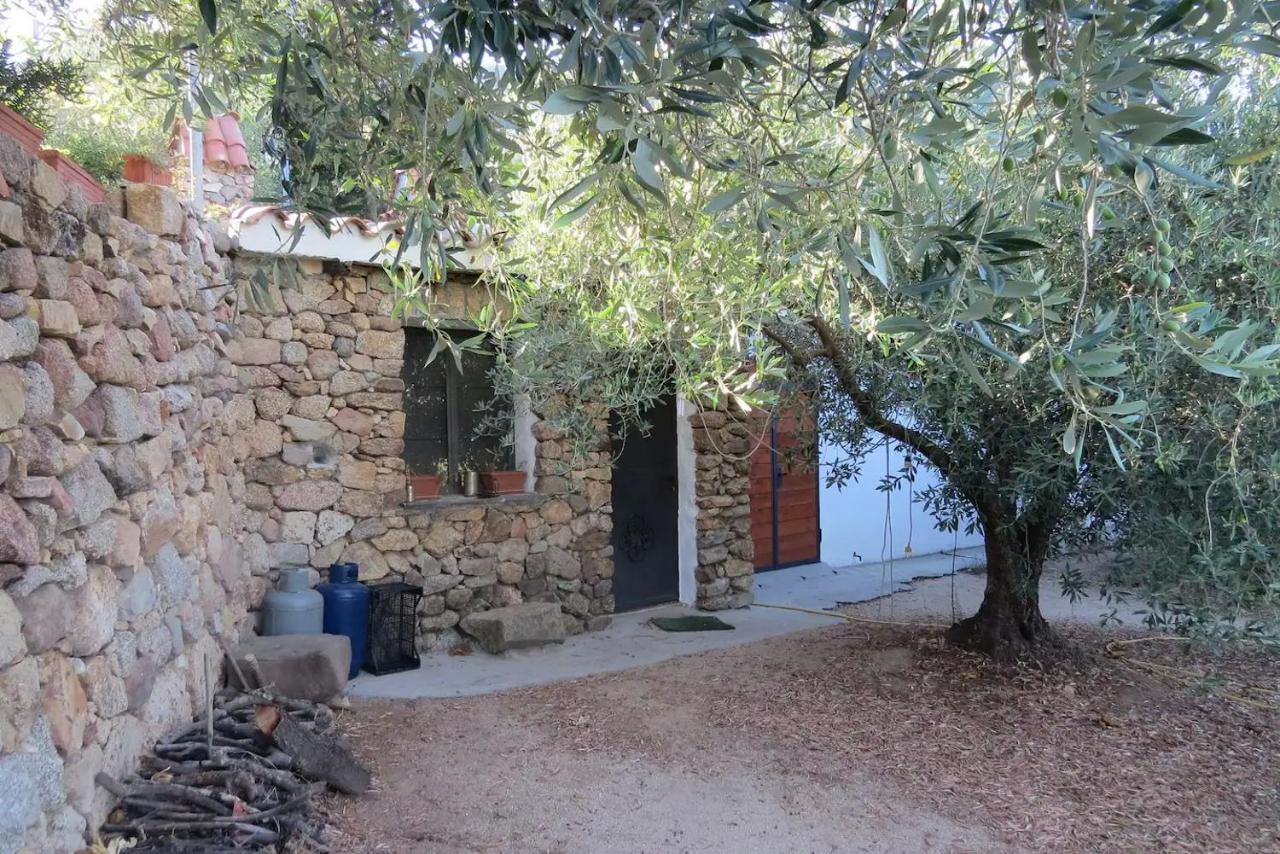 Casa In Campagna Hotel Dorgali Exterior photo